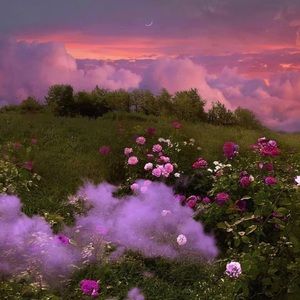 Meet your Posher, Klodiana